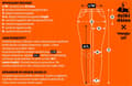 Miniatyrbillede 2 af 9: Lee BREESE STØVLE BOOTCUT Stride DAME FLARED JEANS W26 L31