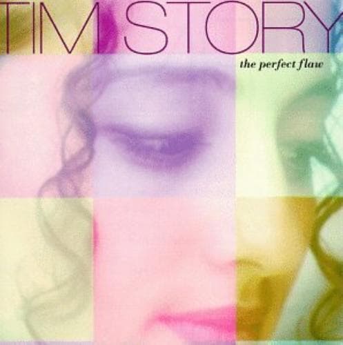 Tim Story : The Perfect Flaw CD (1999) Pre Owned