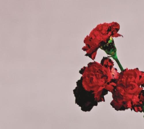 John Legend : Love in the Future CD Deluxe Album (2013) Pre Owned