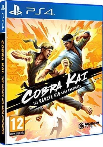 Cobra Kai: The Karate Saga Continues (Sony Playstation PS4) - Game  8JVG  (Pre Owned)