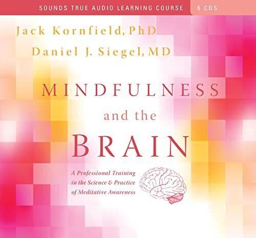 Mindfulness and the Brain: A Profes..., Siegel, Daniel - Pre Owned