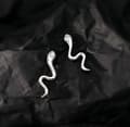 Miniatyrbild 2 av 4: 925 Sterling Silver Cute Crystal Snake Stud Earring Women Girl Christmas Gift UK