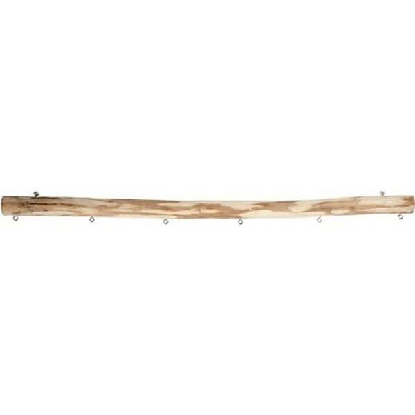 Trädisplay - Creotime - 40 cm - 6 ögon - 2 öljett - Brun