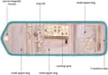 Miniatyrbild 4 av 4: Moorle Resevänligt smyckesskrin – Förvaring för örhängen, ringar, halsband, kompakt och lätt, ta med i väskan