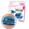 Miniatyrbild 1 av 2: Créacord Rainbow armbandskit - Créacord Pink