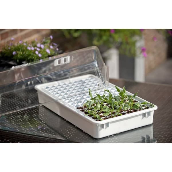 Minidrivhus set 55x31x22 cm 6020203