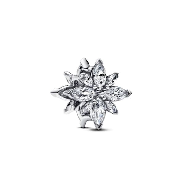 Dampärlor Pandora 793591C01 Silvrig