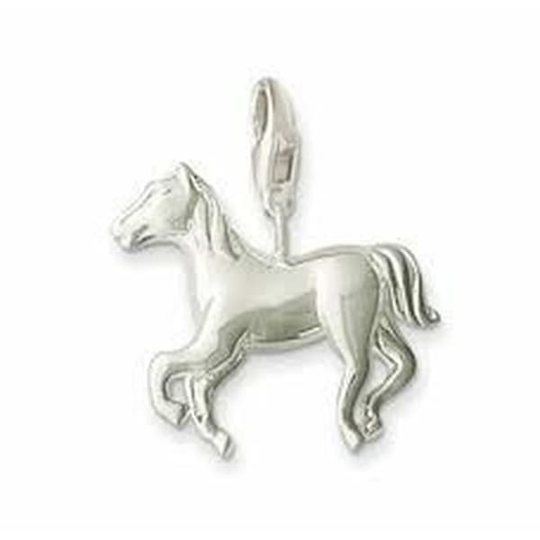 Naisten onnenkoru Thomas Sabo 0099-001-12 Harmaa 25 mm