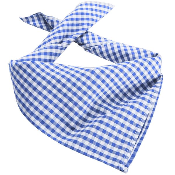 Traditionell scarf (rutig) - ljusblå/vit