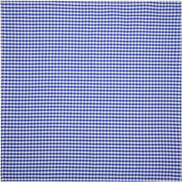 Traditionell scarf (rutig) - blå/vit