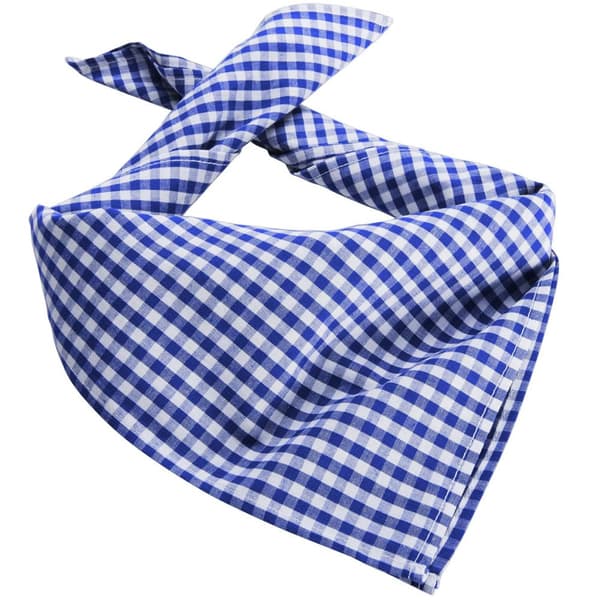 Traditionell scarf (rutig) - blå/vit