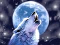 Miniatyrbilde 1 av 3: Diamond Painting / DIY 5D Diamantmaling - 30x40cm - Wolf Moon