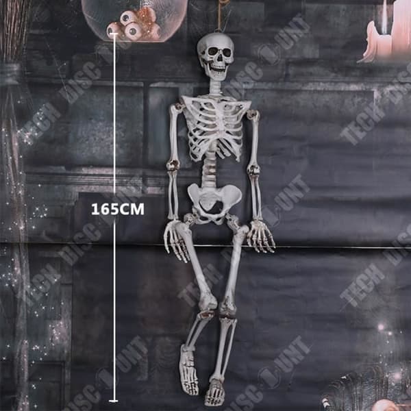 Halloween skelett 165CM - TEKNISK RABATT - Justerbar hållning - Skrämmande dekoration för Halloween