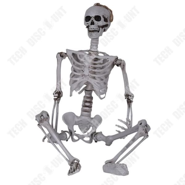 Halloween skelett 165CM - TEKNISK RABATT - Justerbar hållning - Skrämmande dekoration för Halloween