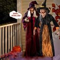 Miniatyrbild 4 av 4: TD® Halloween dekoration häxa röststyrning rekvisita elektrisk lysande hängande spöke spöke festival