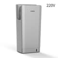 Pikkukuva 2 / 2: Käsikuivain, 220V, 1850W, HEPA-suodatin,AK2070S-Silver-220V, EU