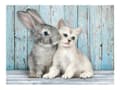 Miniatyrbild 2 av 5: Clementoni High Quality Collection - Katt & Kanin - pussel - 500 delar