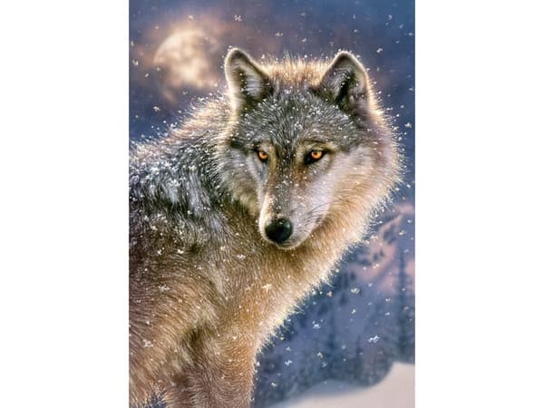 Castorland Lone wolf 500 pcs, 500 stykker, Fauna, 9 år
