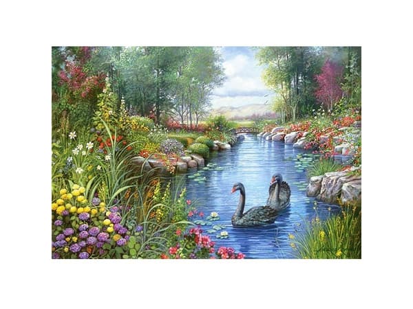 Castorland Black Swans, Andres Orpinas 1500 pcs, 1500 stykker, Fe, 9 år