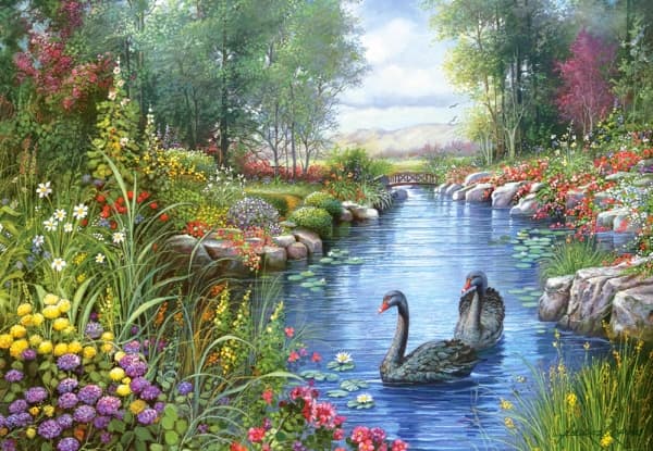 Castorland Black Swans, Andres Orpinas 1500 pcs, 1500 stykker, Fe, 9 år