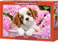 Miniatyrbilde 3 av 4: Castorland Pup in pink flowers 500 pcs, 500 stykker, Fauna, 9 år