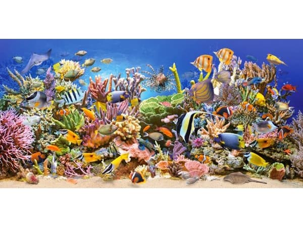 Castorland Underwater life 4000 pcs, 4000 styck, Undervatten, 9 År