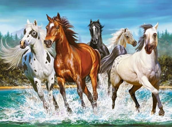 Castorland Call of Nature 2000 pcs, 2000 styck, Djur, 9 År