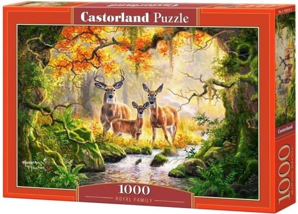 Castorland Royal Family, 1000 kpl, Fantasia, 9 vuosi/vuosia