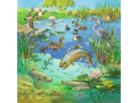 Ravensburger 00.008.050, 49 kpl, Taide, 5 vuosi/vuosia