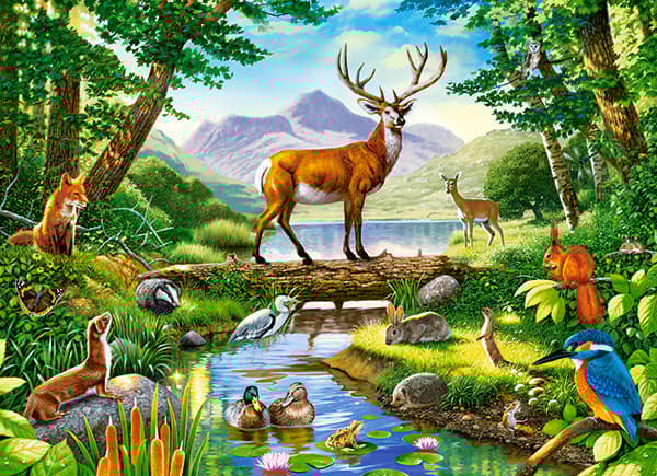 Castorland Woodland Harmony 300 pcs, 300 kpl, Eläimet, 8 vuosi/vuosia