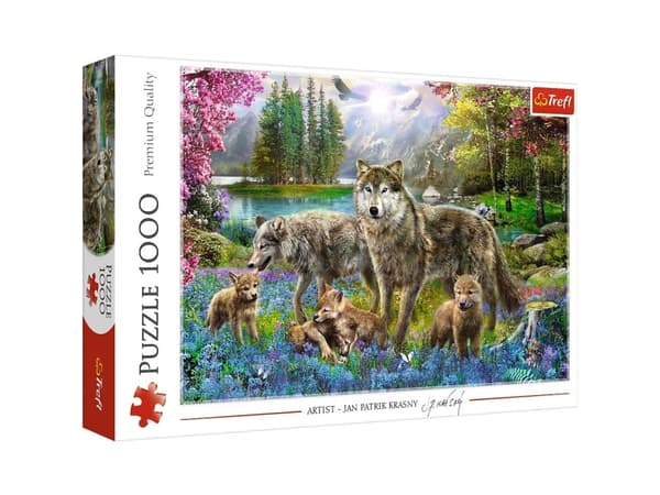 Trefl 10558, 1000 stykker, Andre, 12 år