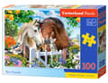 Pikkukuva 1 / 3: Castorland B-111121, 100 kpl, Eläimet, 6 vuosi/vuosia