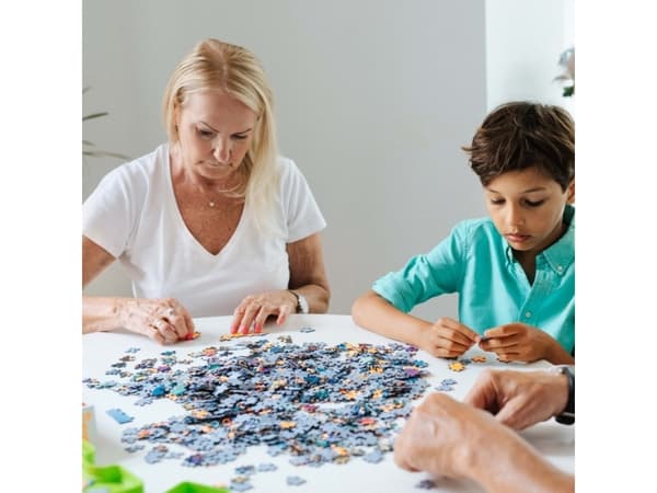 Trefl 37272, 500 stykker, 10 år
