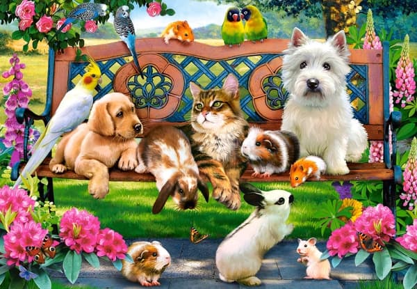 Castorland Pets in the Park 1000 pcs, 1000 kpl, Eläimet, 9 vuosi/vuosia