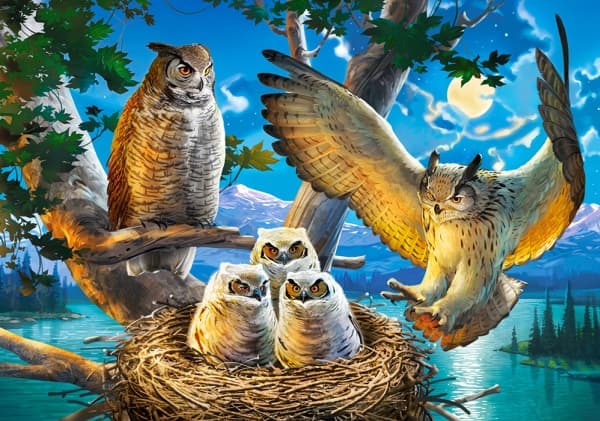 Castorland Owl Family 500 pcs, 500 stykker, Dyr, 9 år