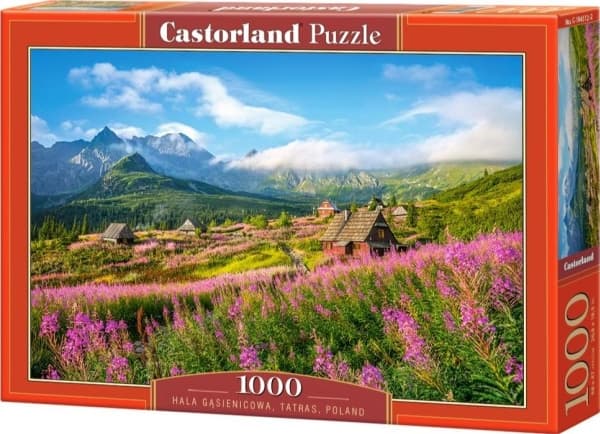 Castorland Hala Gasienicowa, Tatras, Poland 1000 pcs, 1000 stykker, Landskap, 9 år