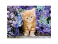 Miniatyrbilde 4 av 5: Clementoni Cat 500 stk. (30415)