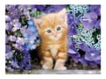 Miniatyrbilde 2 av 5: Clementoni Cat 500 stk. (30415)