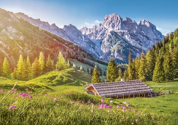 Castorland Summer in the Alps 500 pcs, 500 stykker, Landskap, 9 år