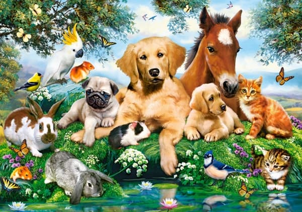 Castorland Summer Pals 500 pcs, 500 stykker, Dyr, 9 år
