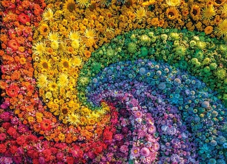 Clementoni ColorBoom - Whirl - puslespill - 1000 deler
