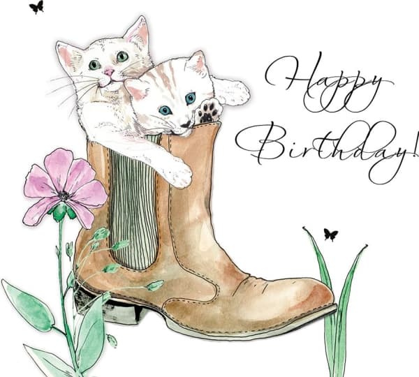 Clear Creation Swarovski Square Pass Birthday cats in the shoe
