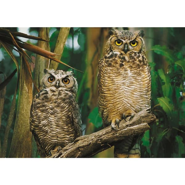 Trefl Owls Puzzle 1000 pcs 10603