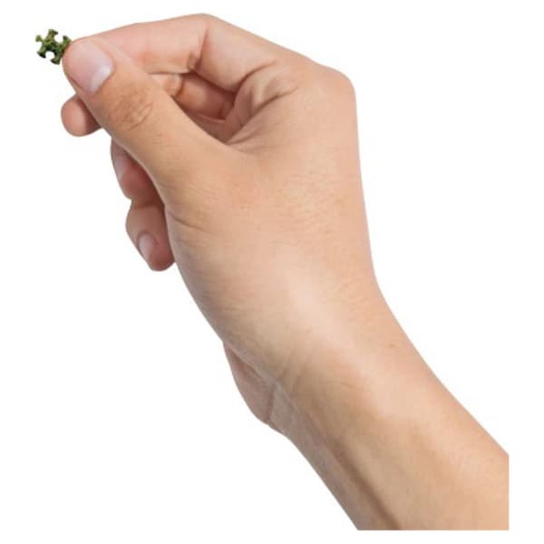 World's Smallest Puzzle: Mount Fuji, Japan 1000 palaa