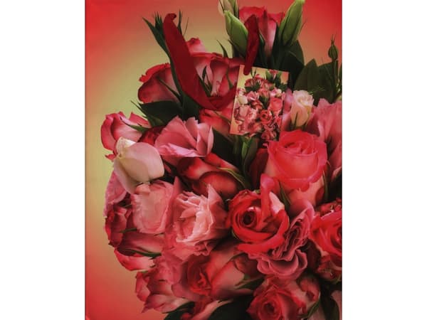 Canpol Decorative laminated bag A4 18x23 various designs (TR-30)