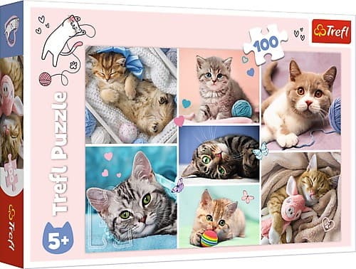 Trefl Puzzle 100 pieces In the world of cats