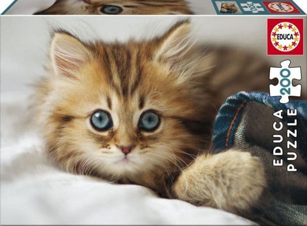 Educa 200 Kitten