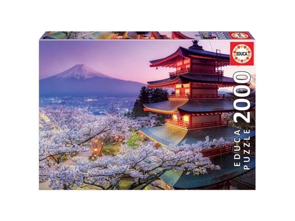 Educa 2000 Mount Fuji, Japan