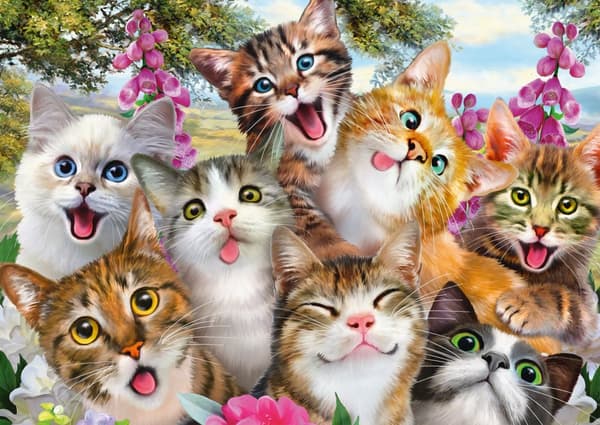 Cat Selfie Pussel 500 bitar Schmidt