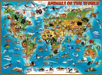 Ravensburger 13257, 300 kpl, Kartat, 9 vuosi/vuosia